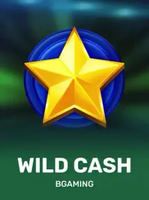Wild Cash cover from the BGaming catalogue at Lucky Vibe Casino